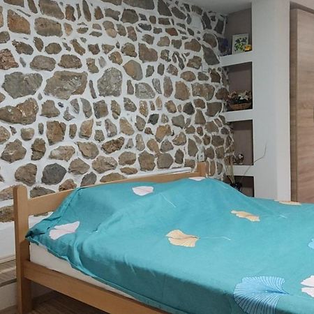 Guest House Stevovski Elshani Exterior photo