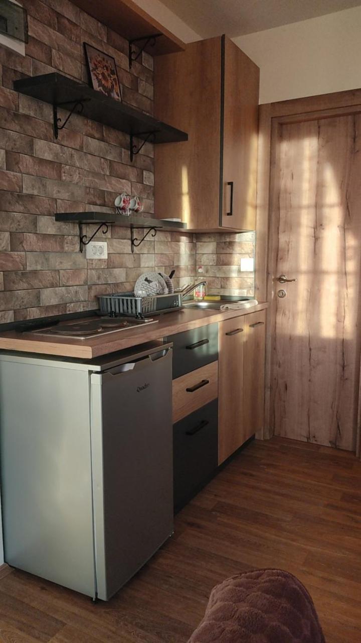 Guest House Stevovski Elshani Exterior photo