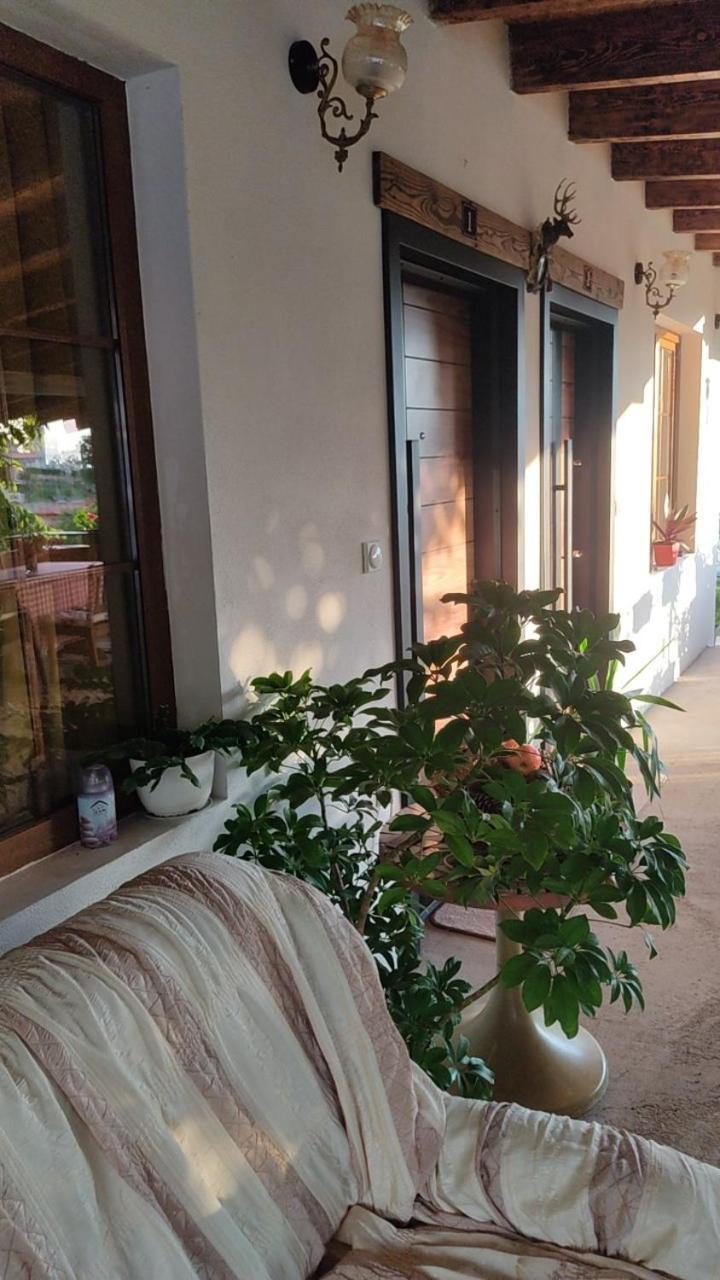 Guest House Stevovski Elshani Exterior photo